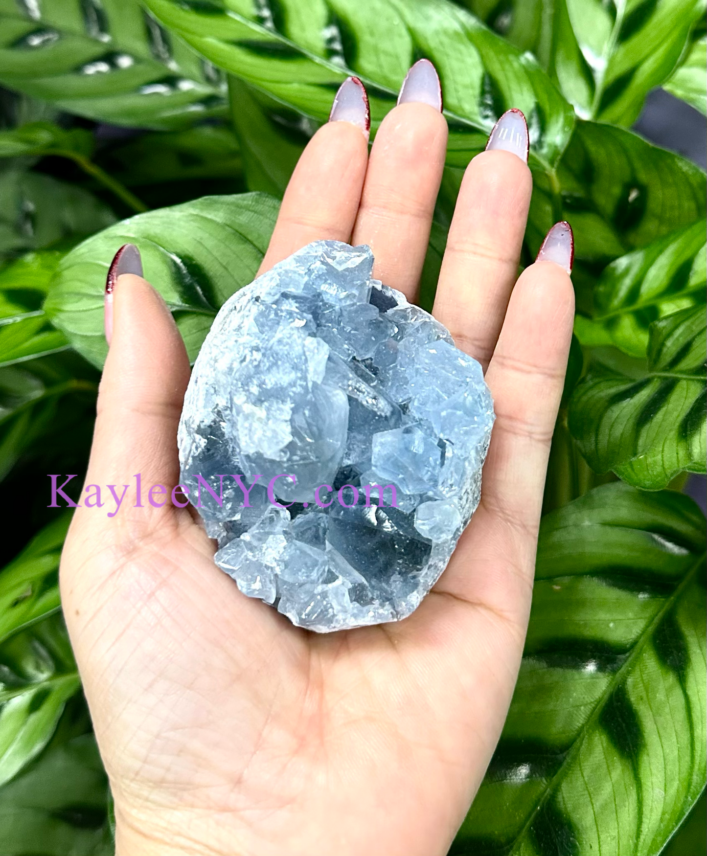 Wholesale Lot 5-6 PCs Natural  Celestite Cluster Raw Crystal