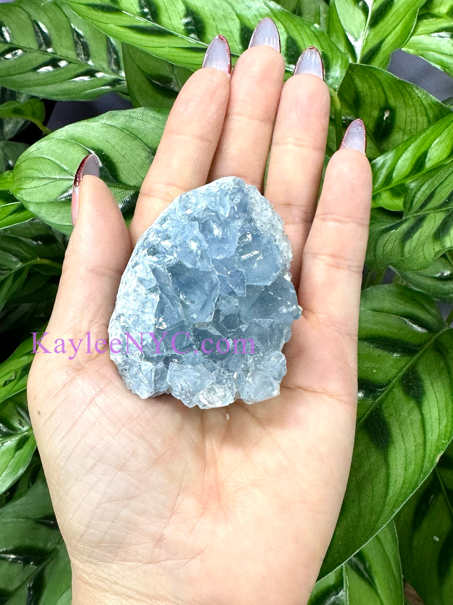 Wholesale Lot 5-6 PCs Natural  Celestite Cluster Raw Crystal