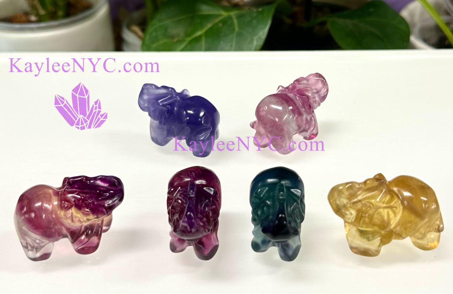 6 PCs 4cm Natural Candy Fluorite Elephantd Crystal