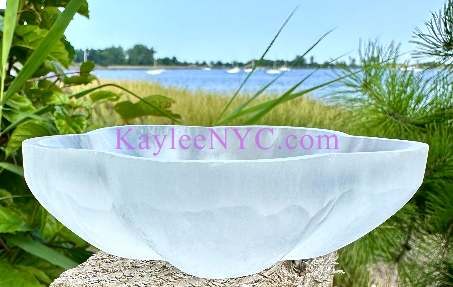 6 PCs Natural Selenite aka Satin Spar Flower Bowl ~10cm