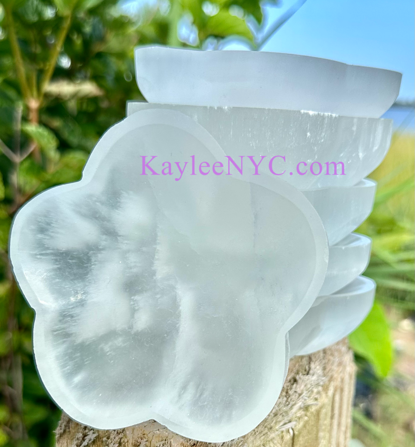 6 PCs Natural Selenite aka Satin Spar Flower Bowl ~10cm