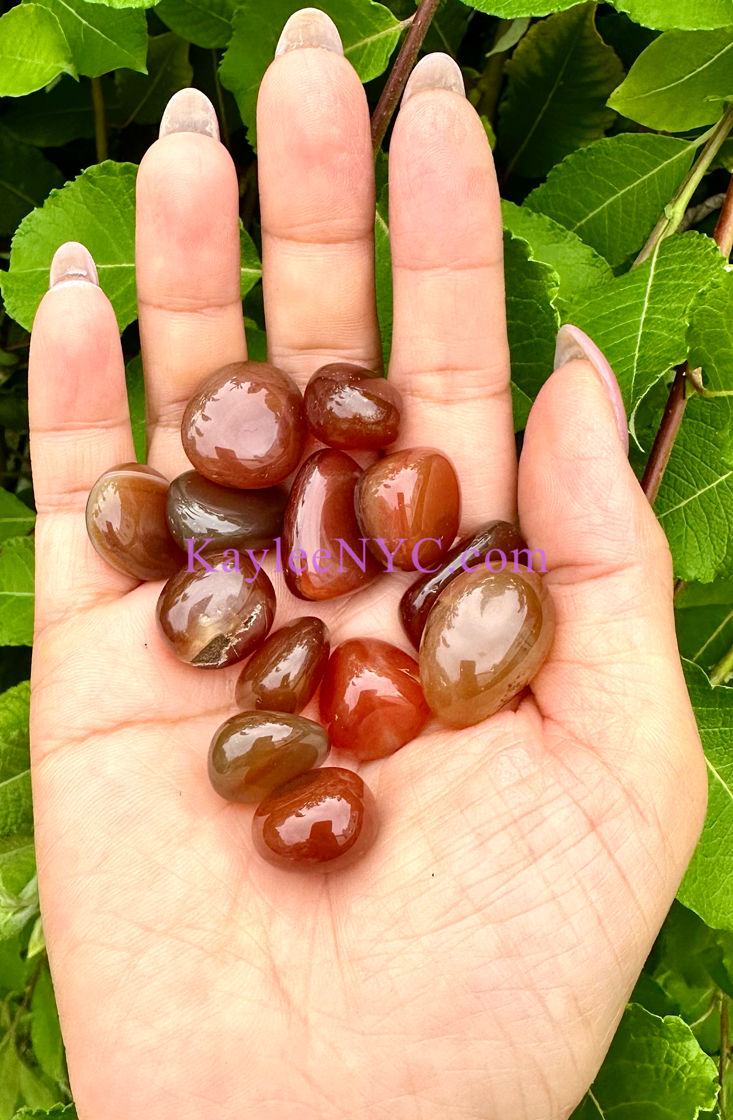 2 lbs Natural Carnelian Tumble