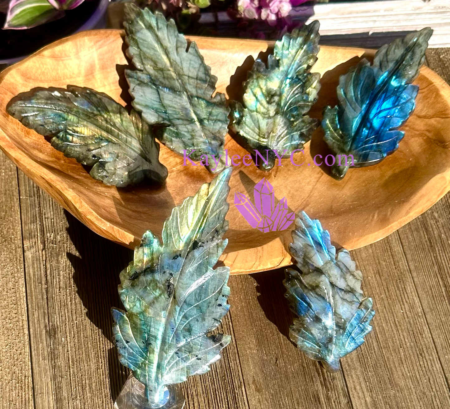 Wholesale Lot 6 PCs Natural Labradorite Leaf Healing Energy