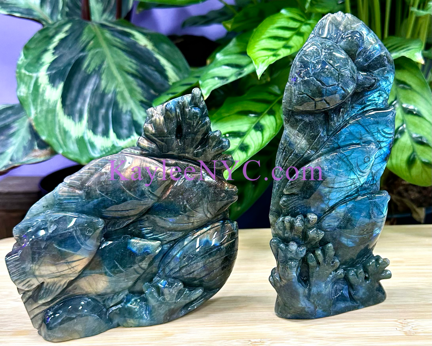 2 PCs Natural Labradorite Sea carvings healing energy