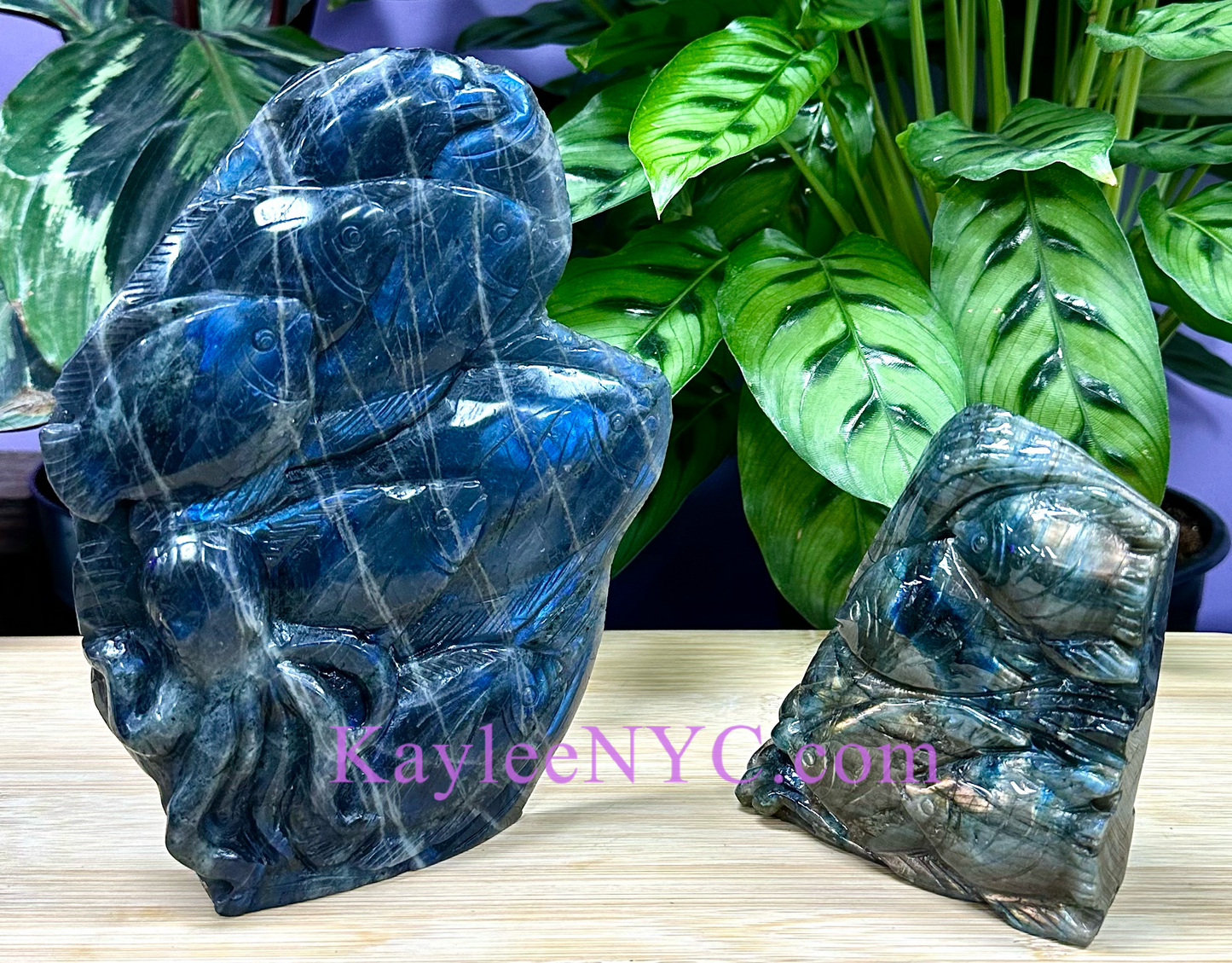 2 PCs Natural Labradorite Sea carvings healing energy