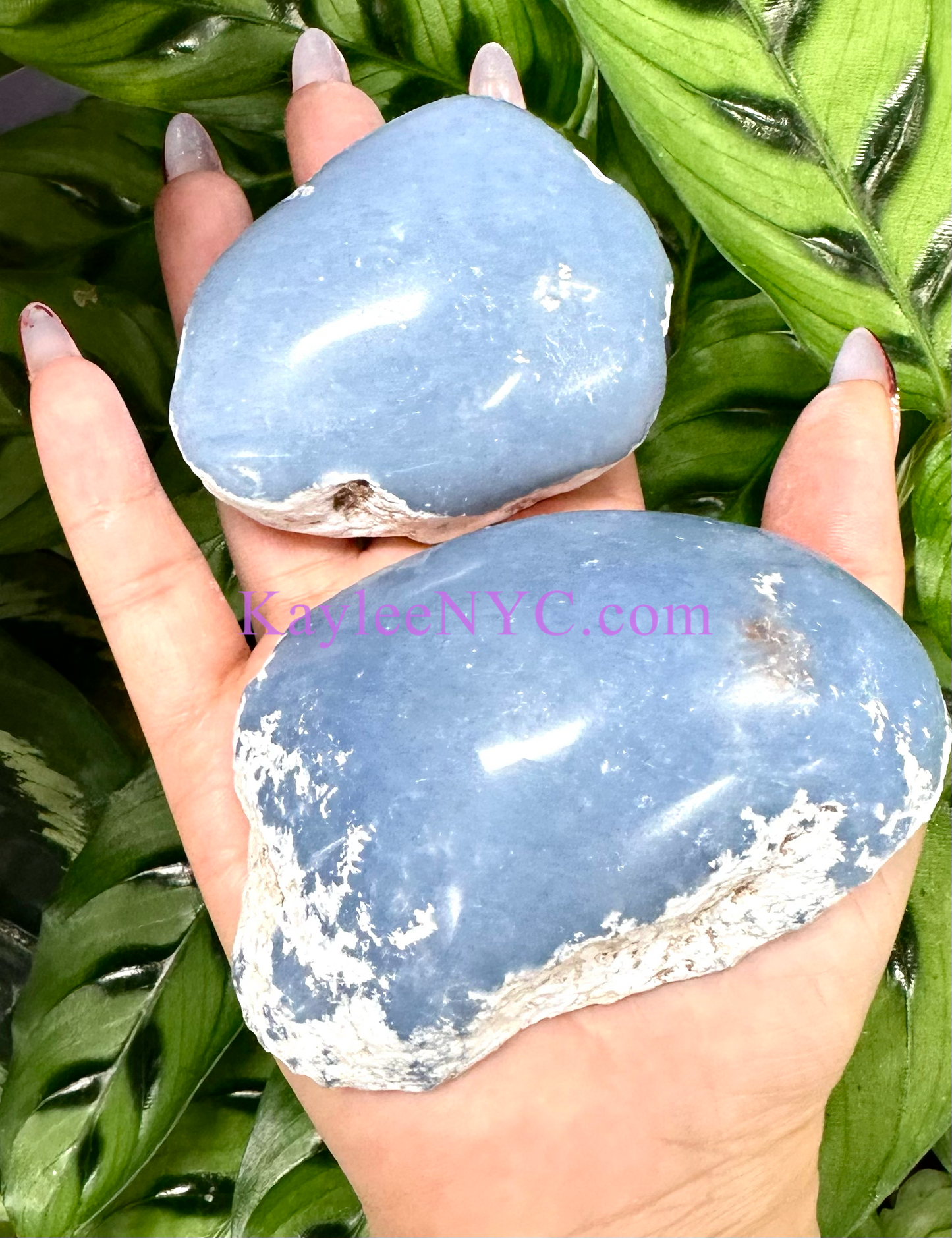 2 lb Natural Top Polished Angelite Raw Crystal