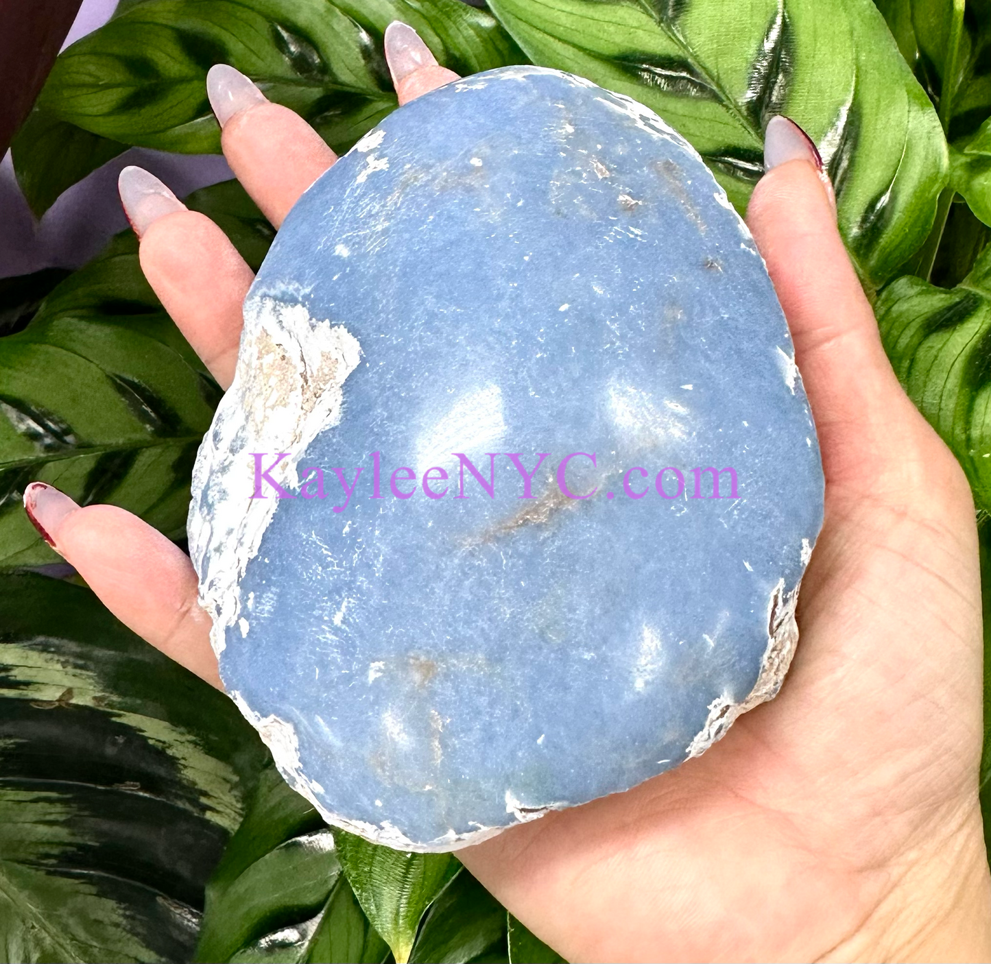 2 lb Natural Top Polished Angelite Raw Crystal