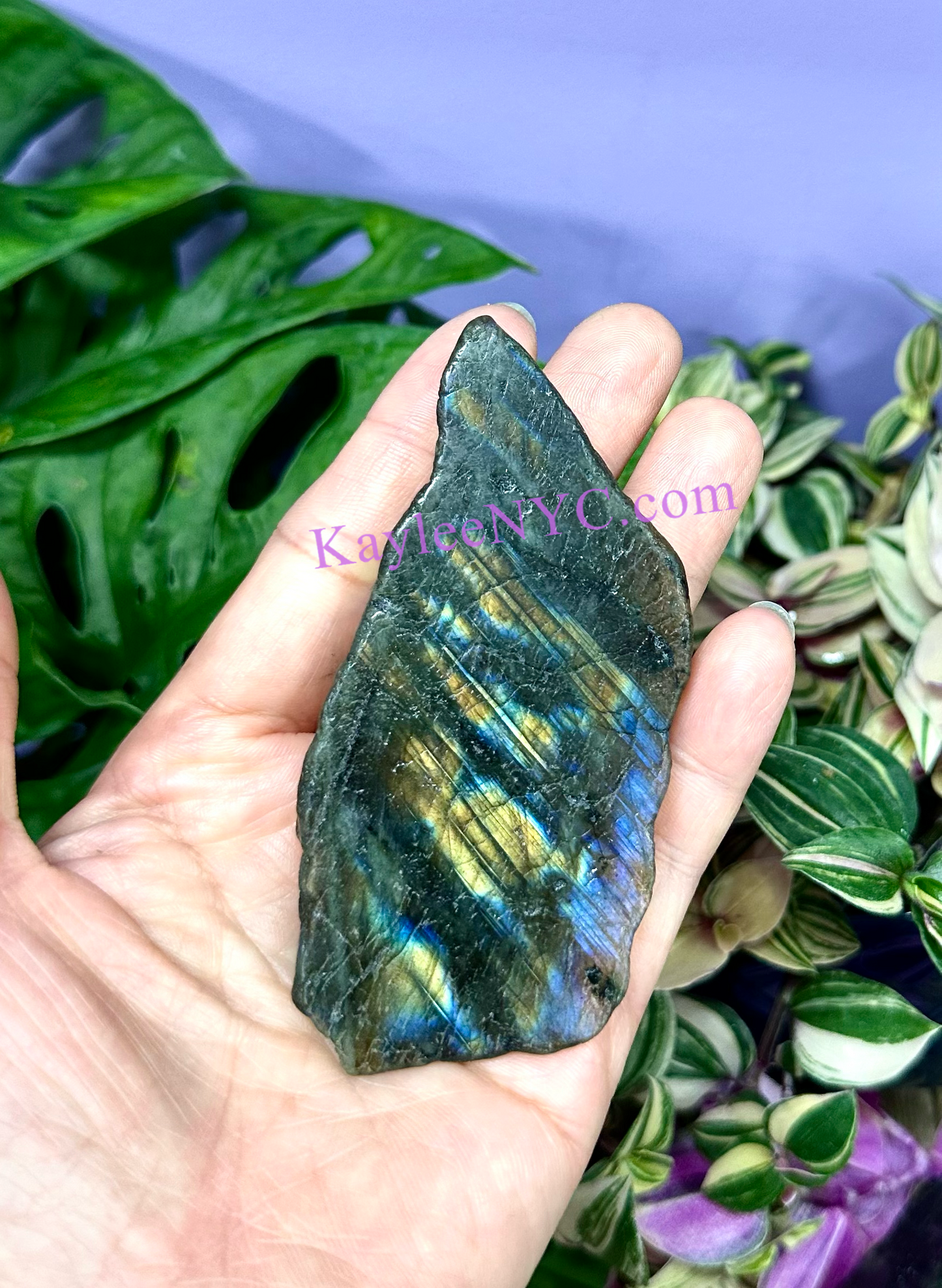 Wholesale Lot 2 lbs Natural Labradorite Slab Crystal Nice Quality