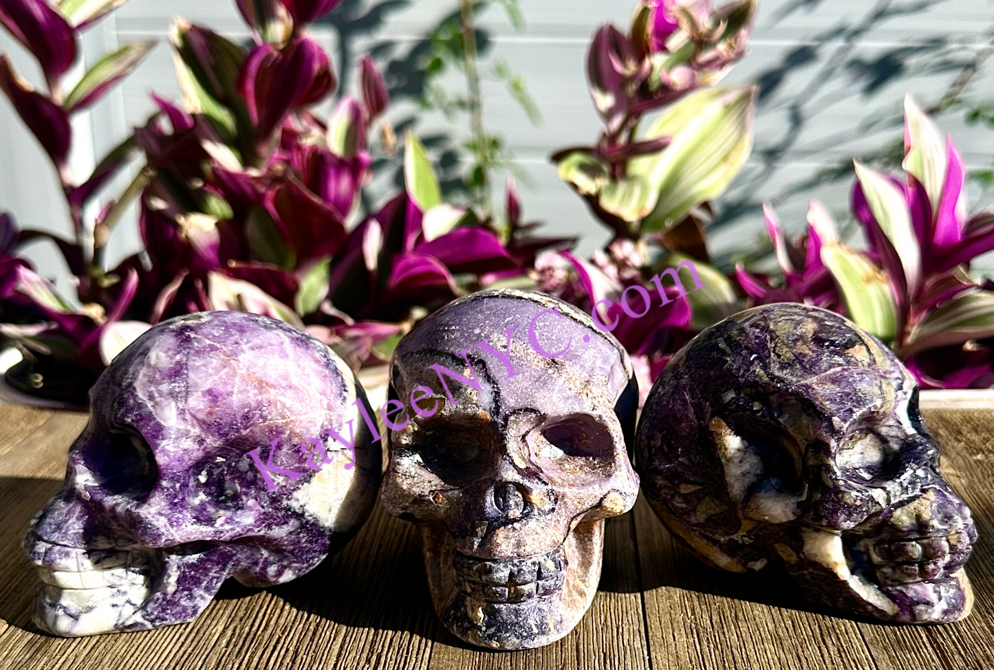 Wholesale lot 3 Pcs Natural Fluorite Root Crystal Skulls Healing Energy