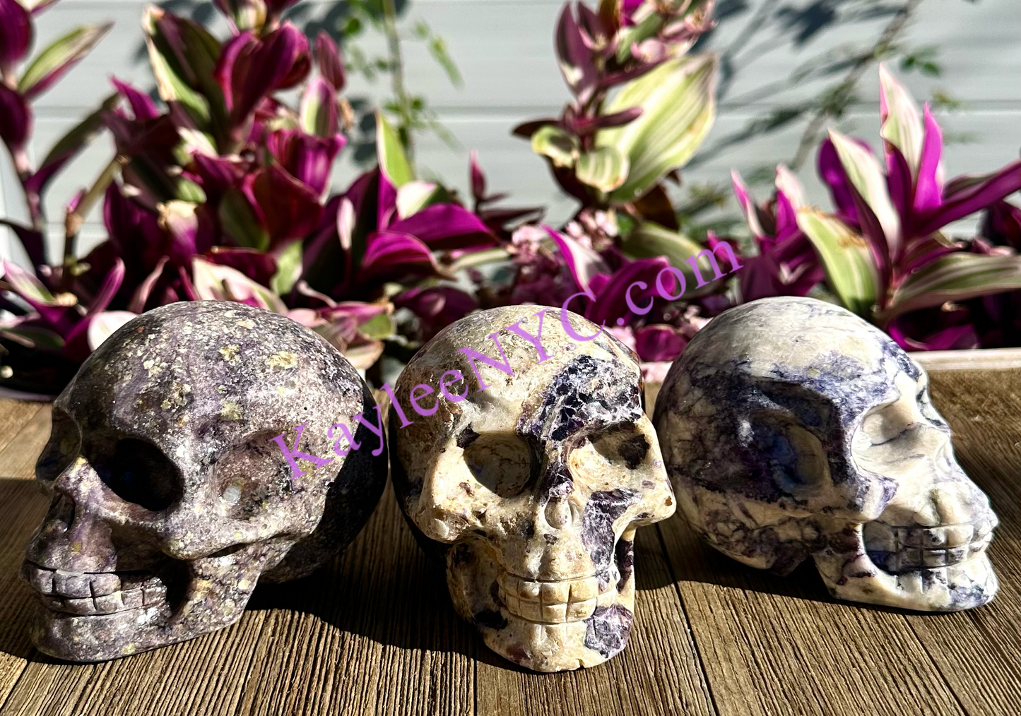 Wholesale lot 3 Pcs Natural Fluorite Root Crystal Skulls Healing Energy