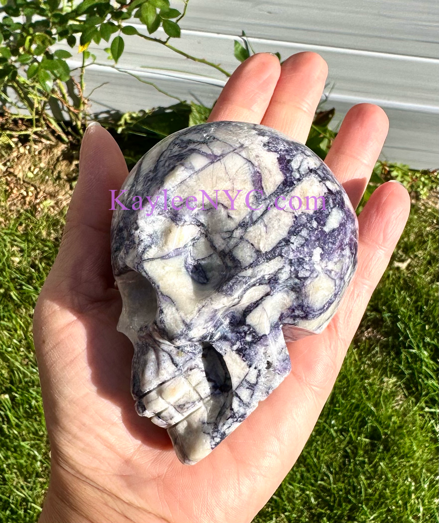 Wholesale lot 3 Pcs Natural Fluorite Root Crystal Skulls Healing Energy