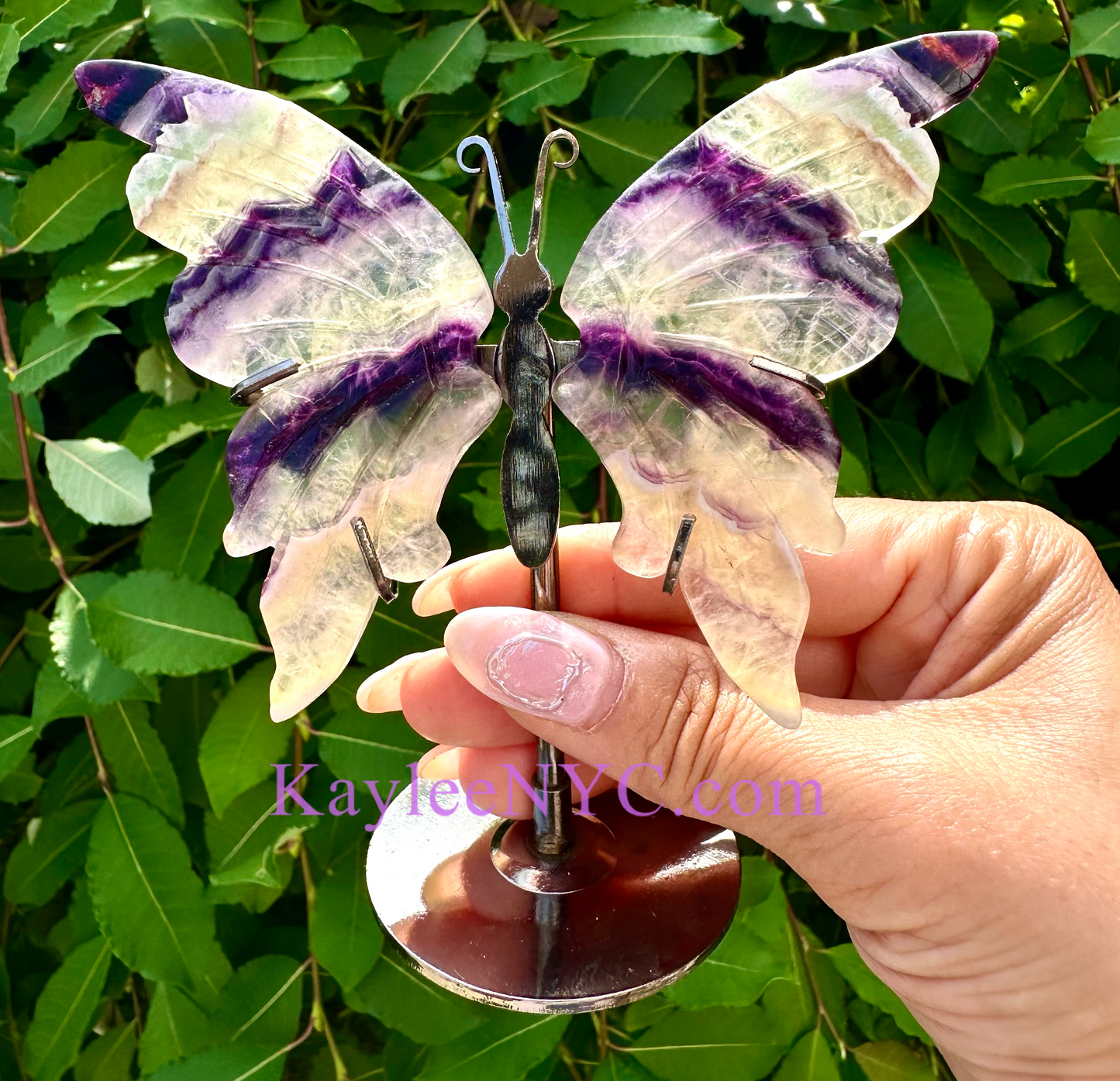 Wholesale Lot 4 PCs Natural Fluorite Crystal Butterfly w/stand Healing Energy