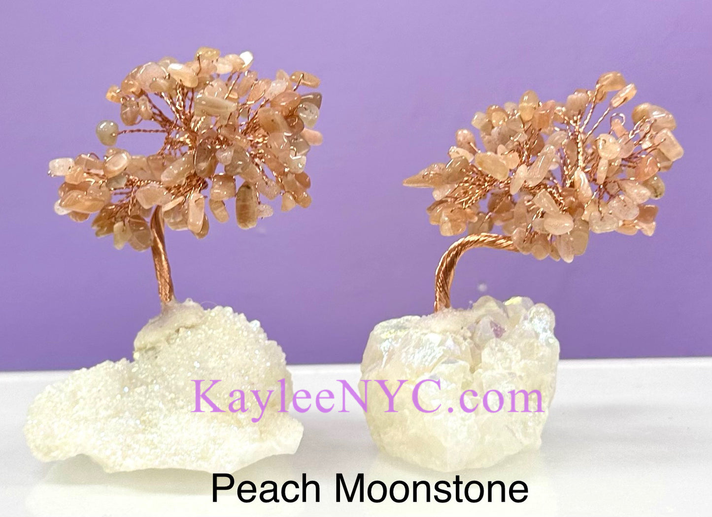 Wholesale Lot 5 Pcs Bonsai Tree with Angel Aura Quartz Cluster Base