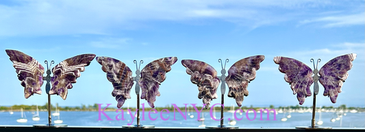 Wholesale Lot 4 PCs Natural Chevron Amethyst Crystal Butterfly w/stand Healing Energy