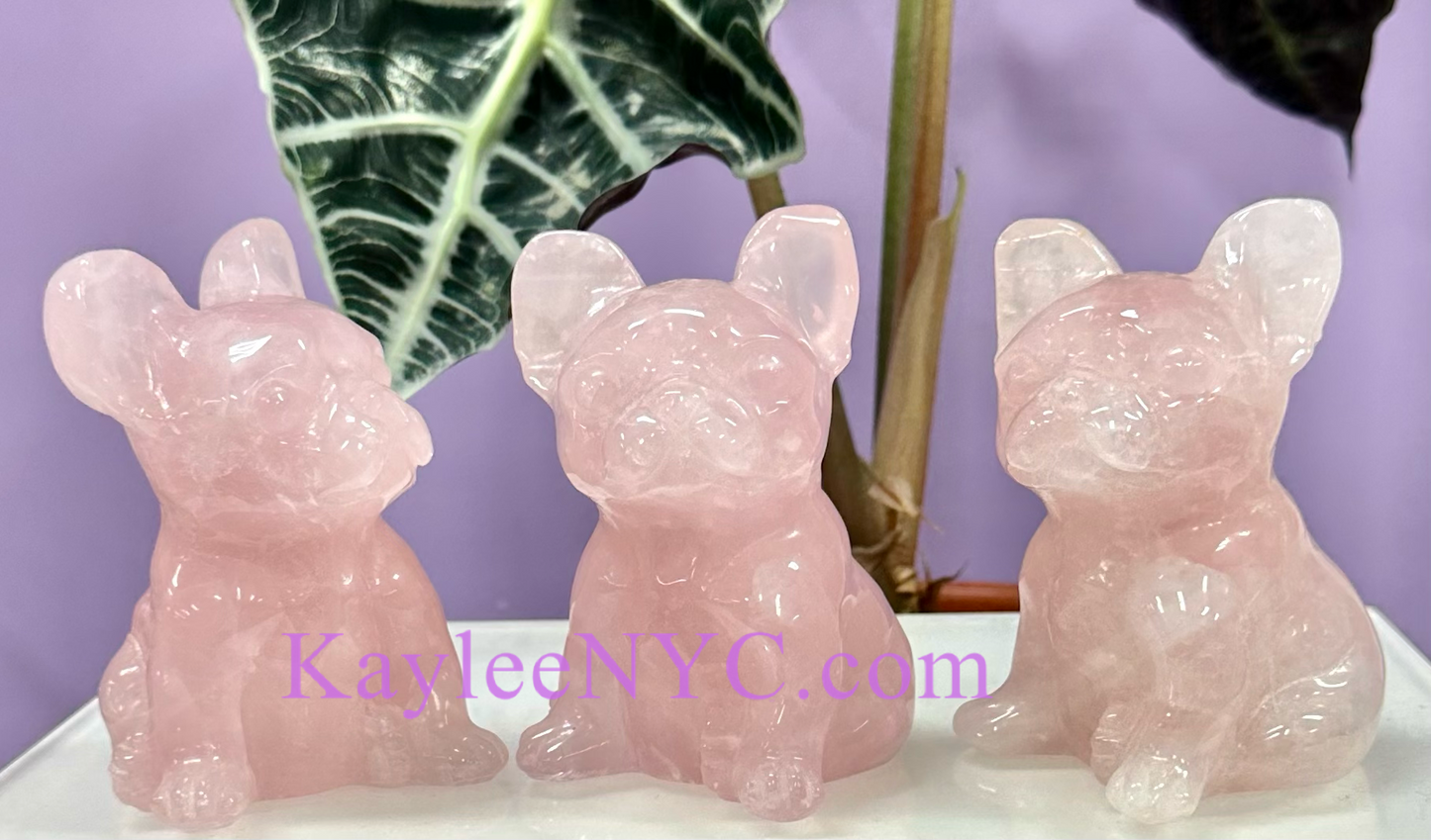 3 PCs Natural Rose Quartz Dogs Crystals Healing Energy