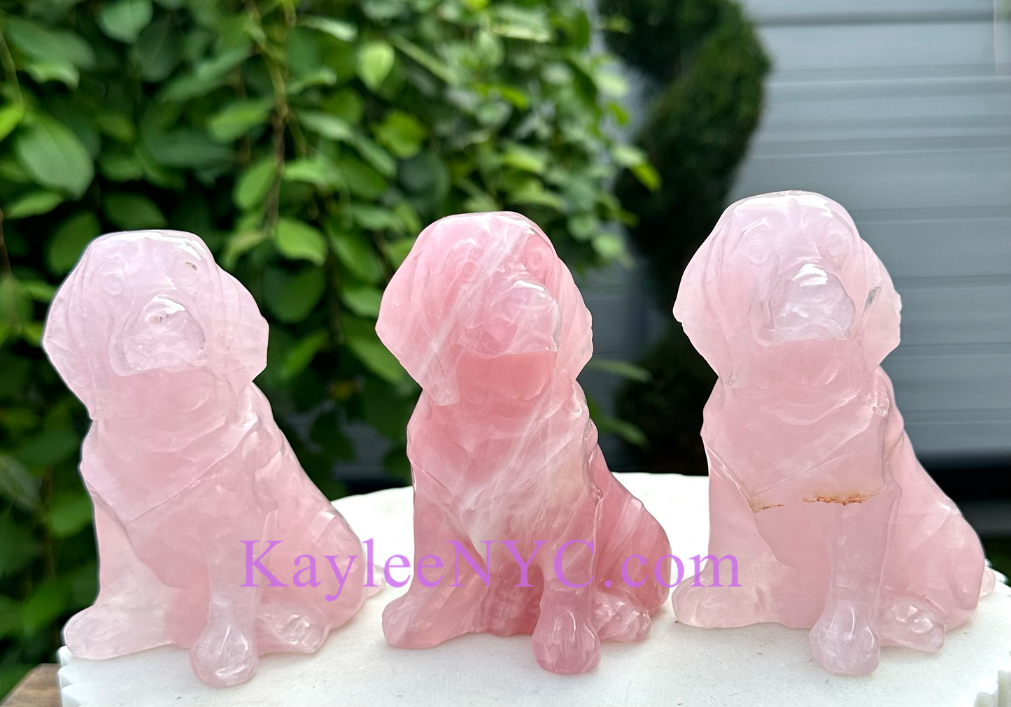 3 PCs Natural Rose Quartz Dogs Crystals Healing Energy