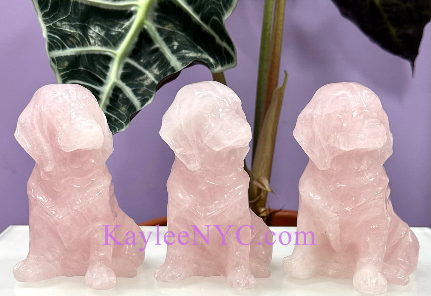 3 PCs Natural Rose Quartz Dogs Crystals Healing Energy