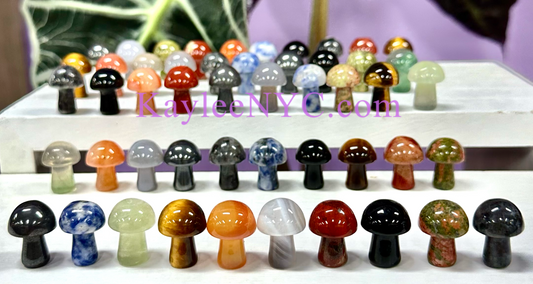 Wholesale Lot 40 PCs Natural Mixed 20mm Crystal Mushroom Healing Energy