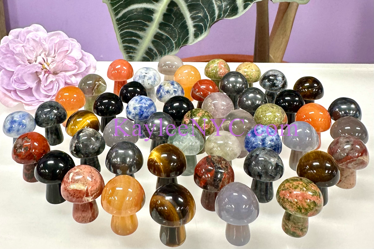 Wholesale Lot 40 PCs Natural Mixed 20mm Crystal Mushroom Healing Energy