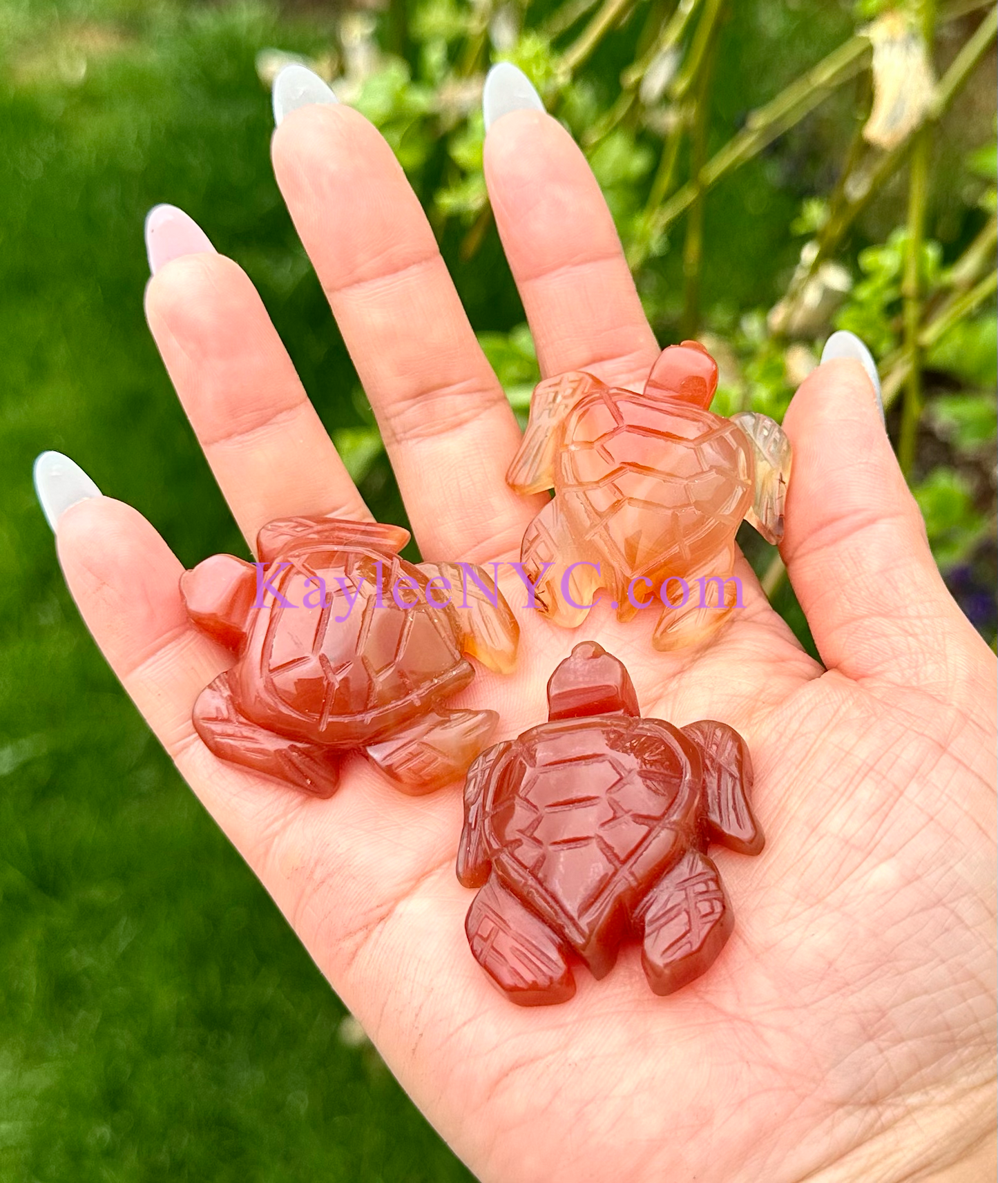 8 PCs 1.5” Natural Crystal Carnelian Turtles