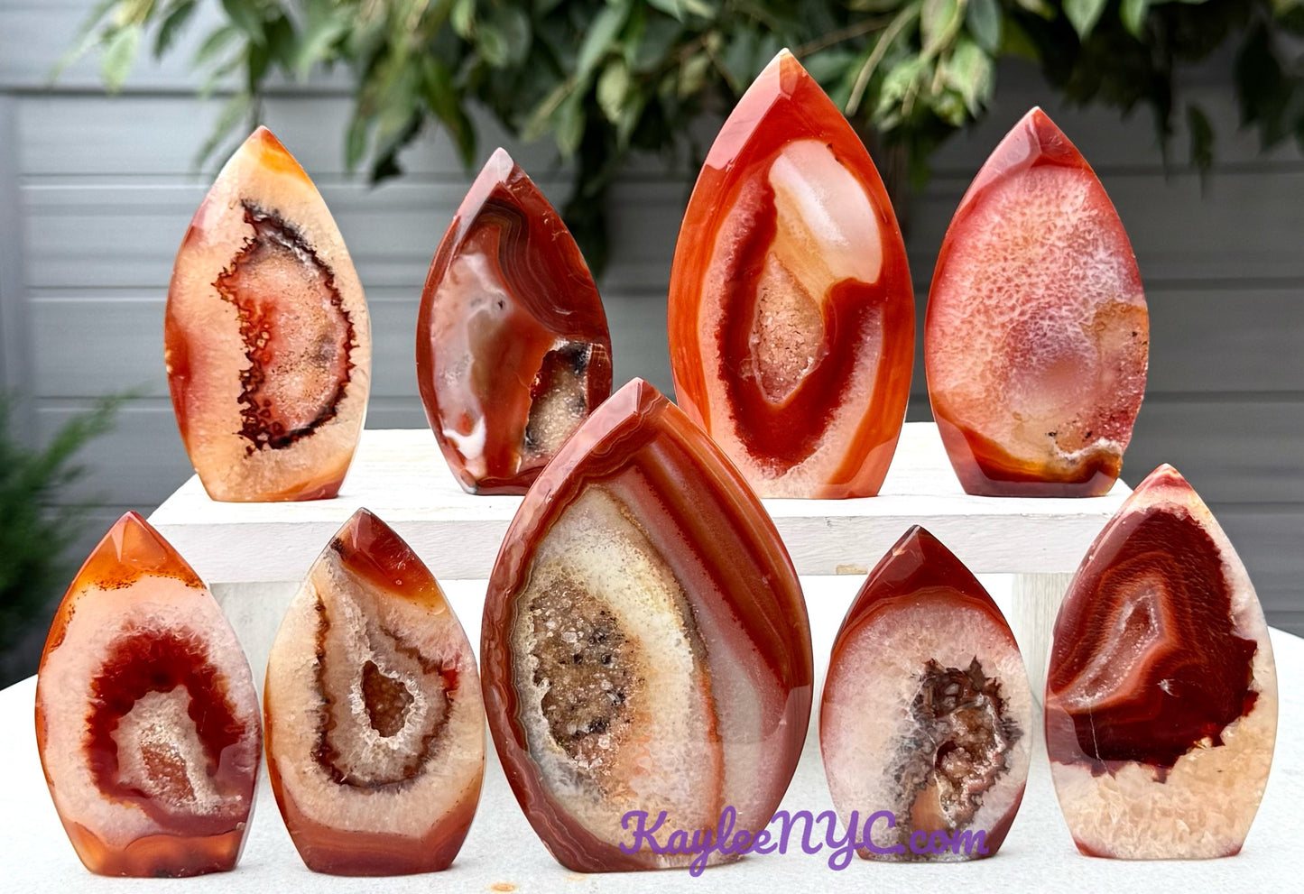 6-10 PCs Natural Carnelian Druzy Freeform