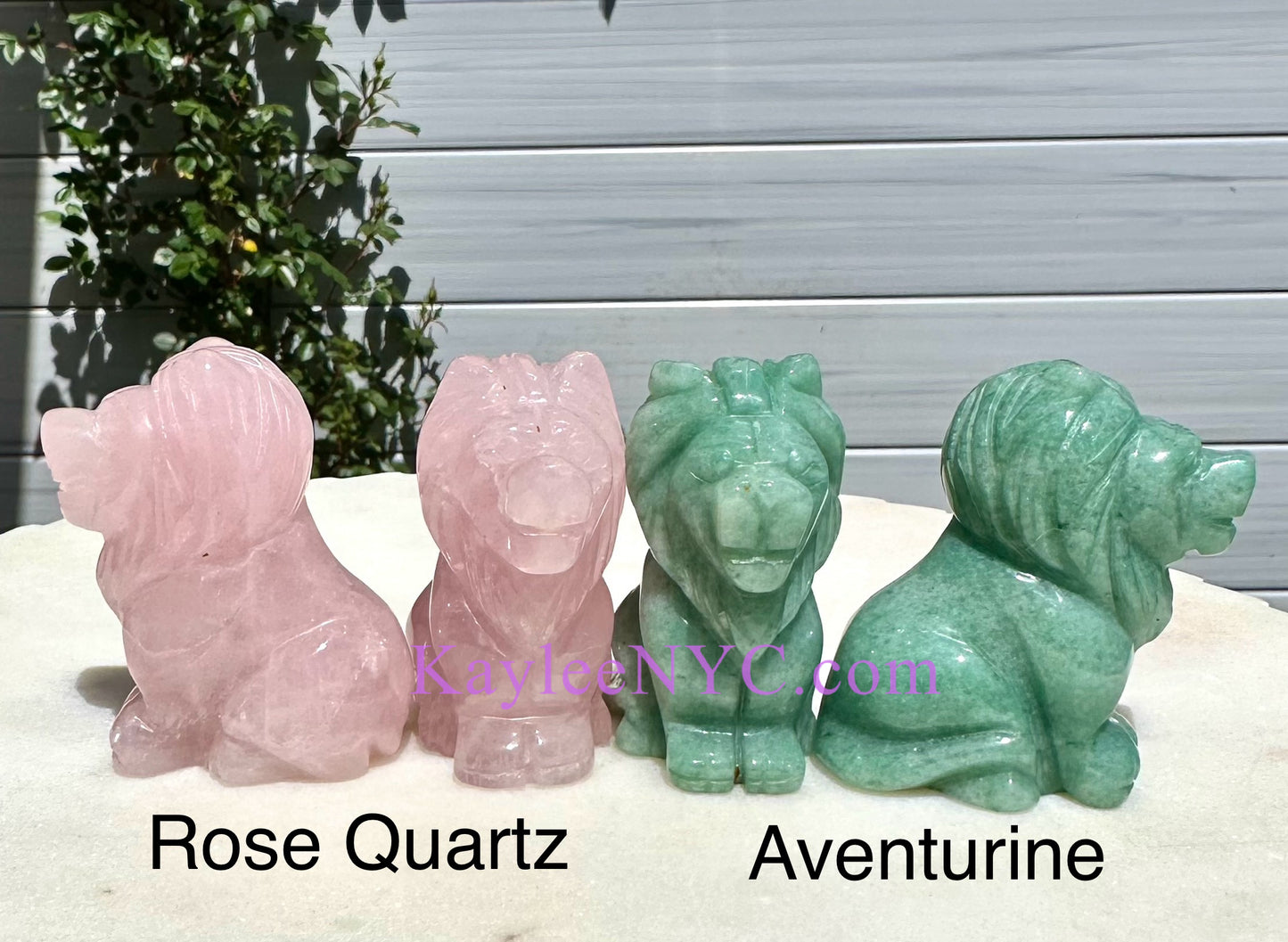 8 PCs 2” Mix Natural Crystal Lions