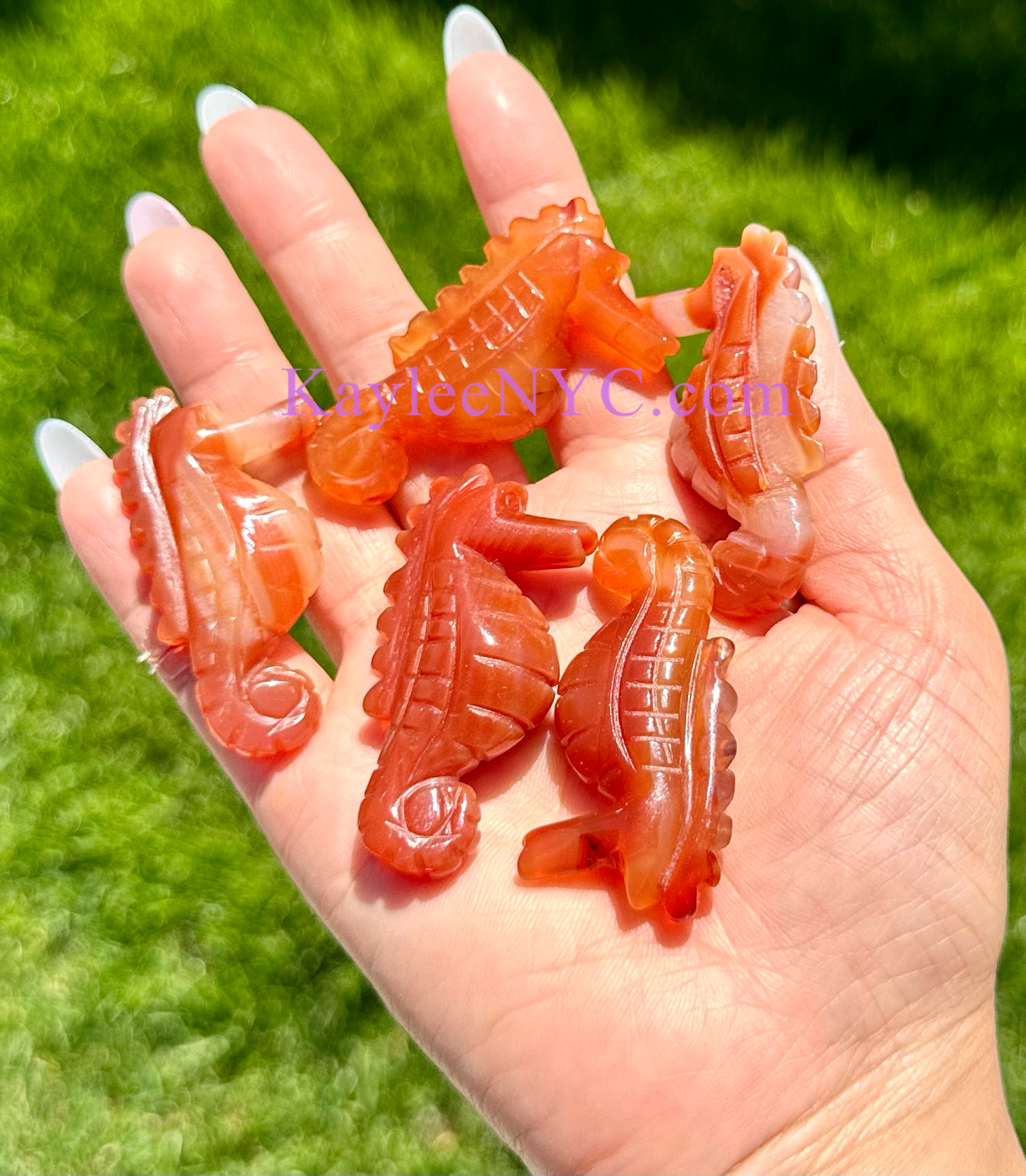 12 PCs 2” Natural Carnelian Seahorses Healing Energy