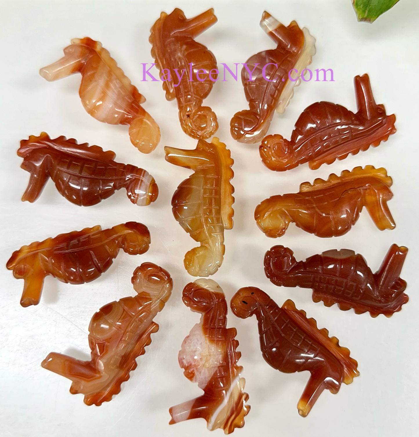 12 PCs 2” Natural Carnelian Seahorses Healing Energy