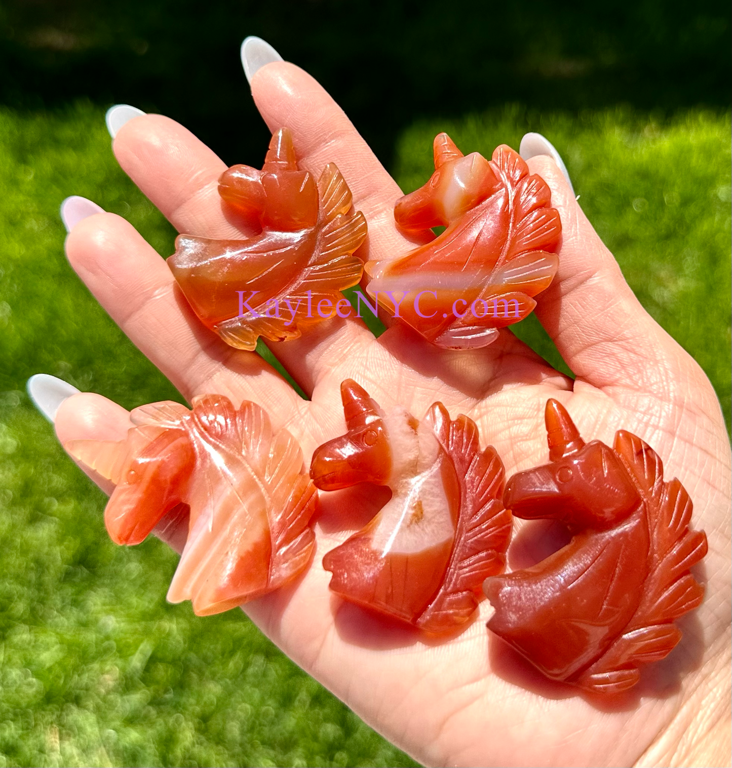 12 PCs 1.5” Natural Carnelian Unicorns Healing Energy