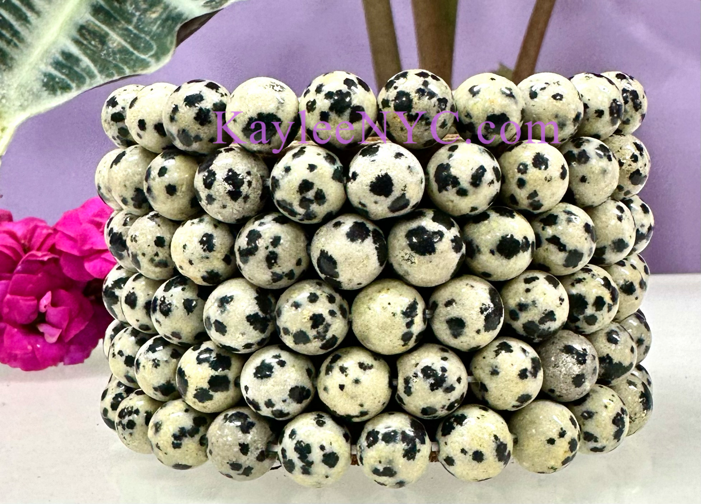 Wholesale 6 Pcs Natural Dalmatian Jasper 8mm 7.5” Crystal Healing Stretch Bracelet