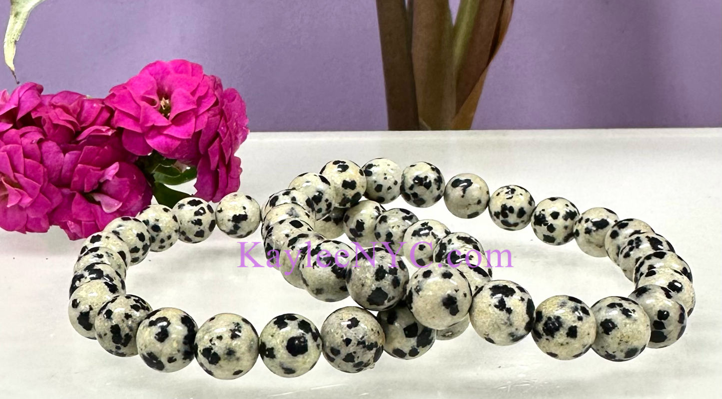 Wholesale 6 Pcs Natural Dalmatian Jasper 8mm 7.5” Crystal Healing Stretch Bracelet