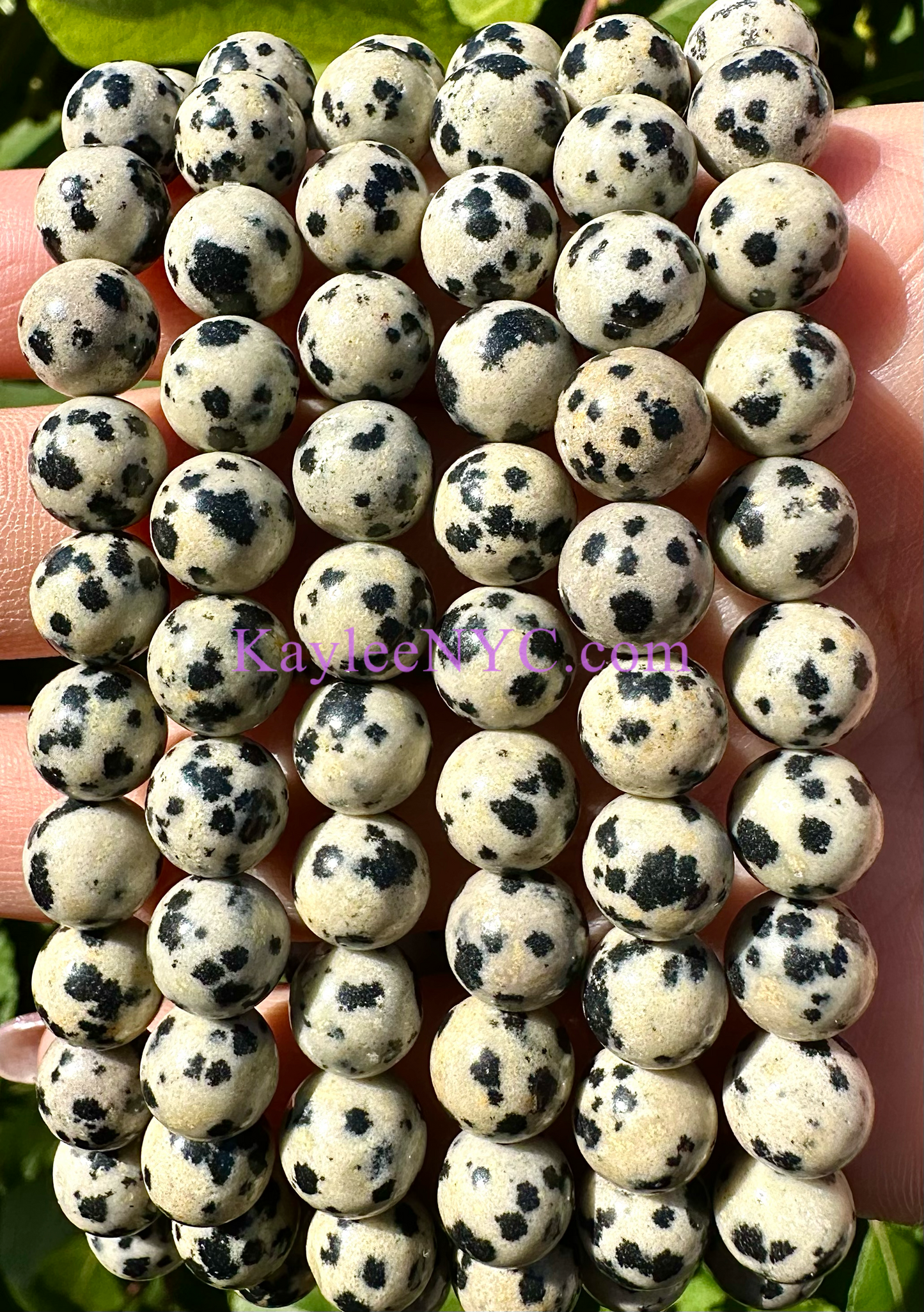 Wholesale 6 Pcs Natural Dalmatian Jasper 8mm 7.5” Crystal Healing Stretch Bracelet