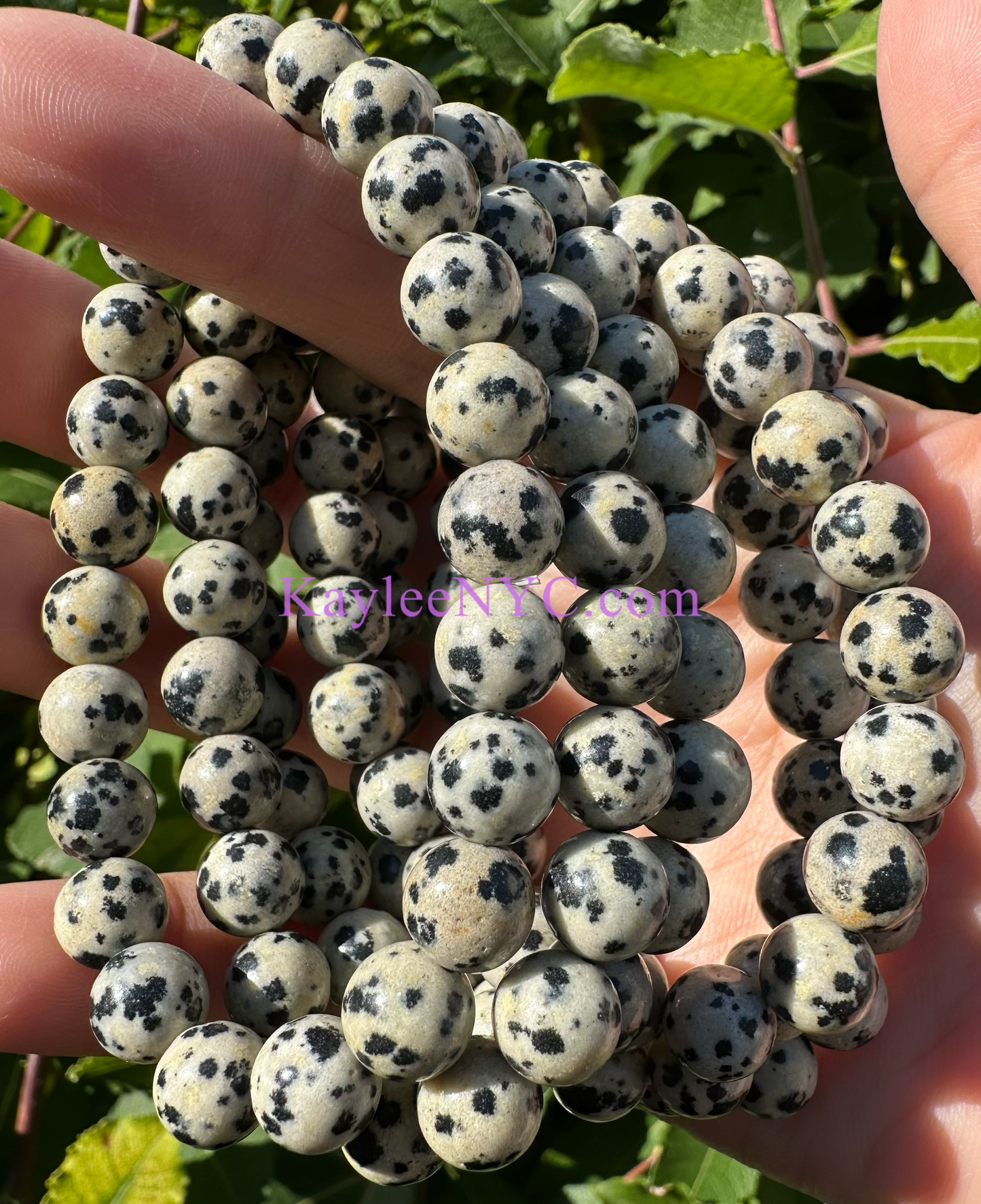 Wholesale 6 Pcs Natural Dalmatian Jasper 8mm 7.5” Crystal Healing Stretch Bracelet