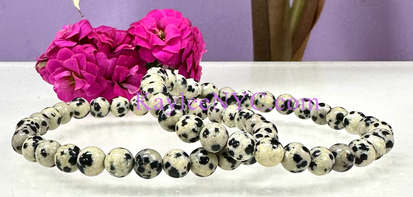 Wholesale 6 Pcs Natural Dalmatian Jasper 6mm 7.5” Crystal Healing Stretch Bracelet