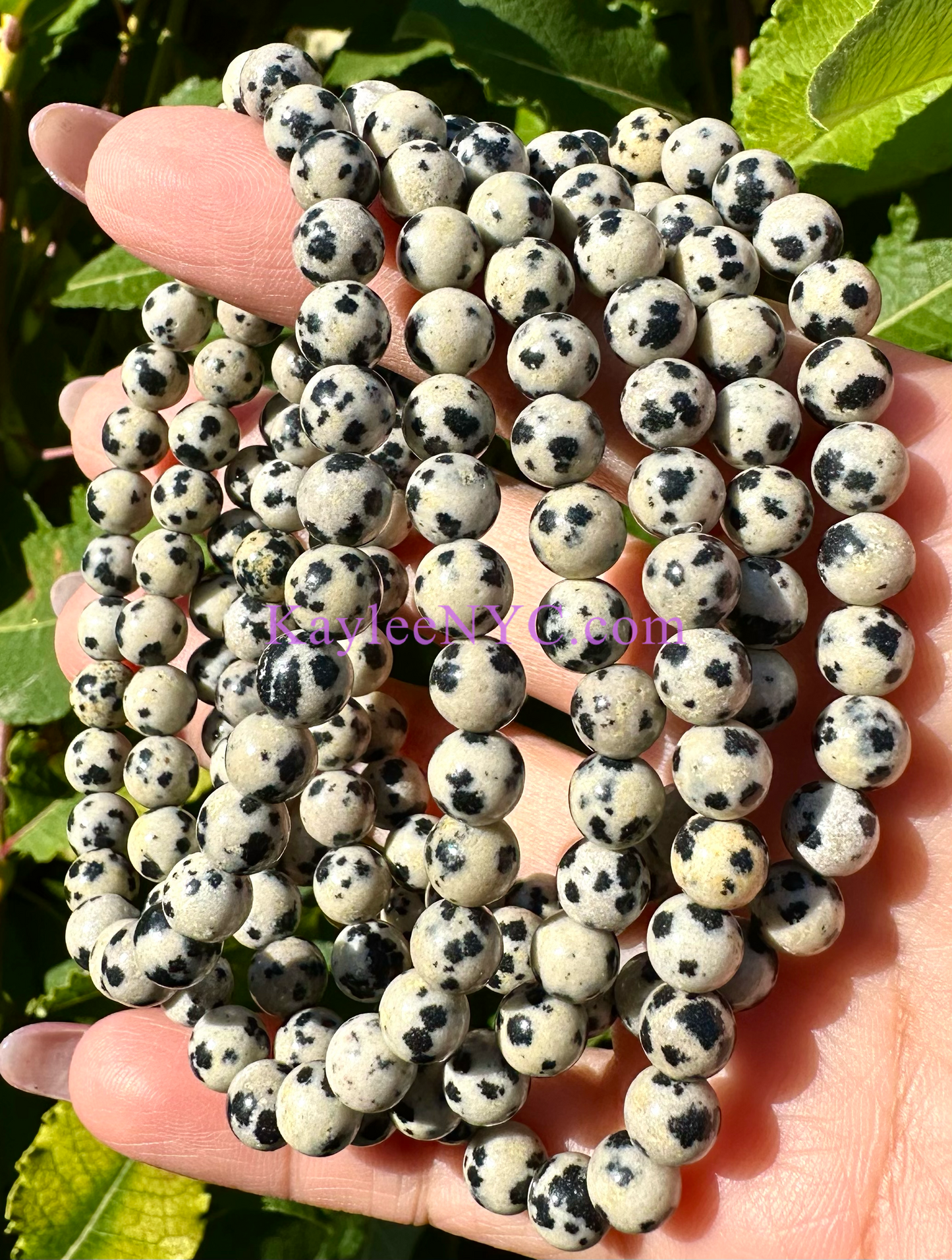 Wholesale 6 Pcs Natural Dalmatian Jasper 6mm 7.5” Crystal Healing Stretch Bracelet