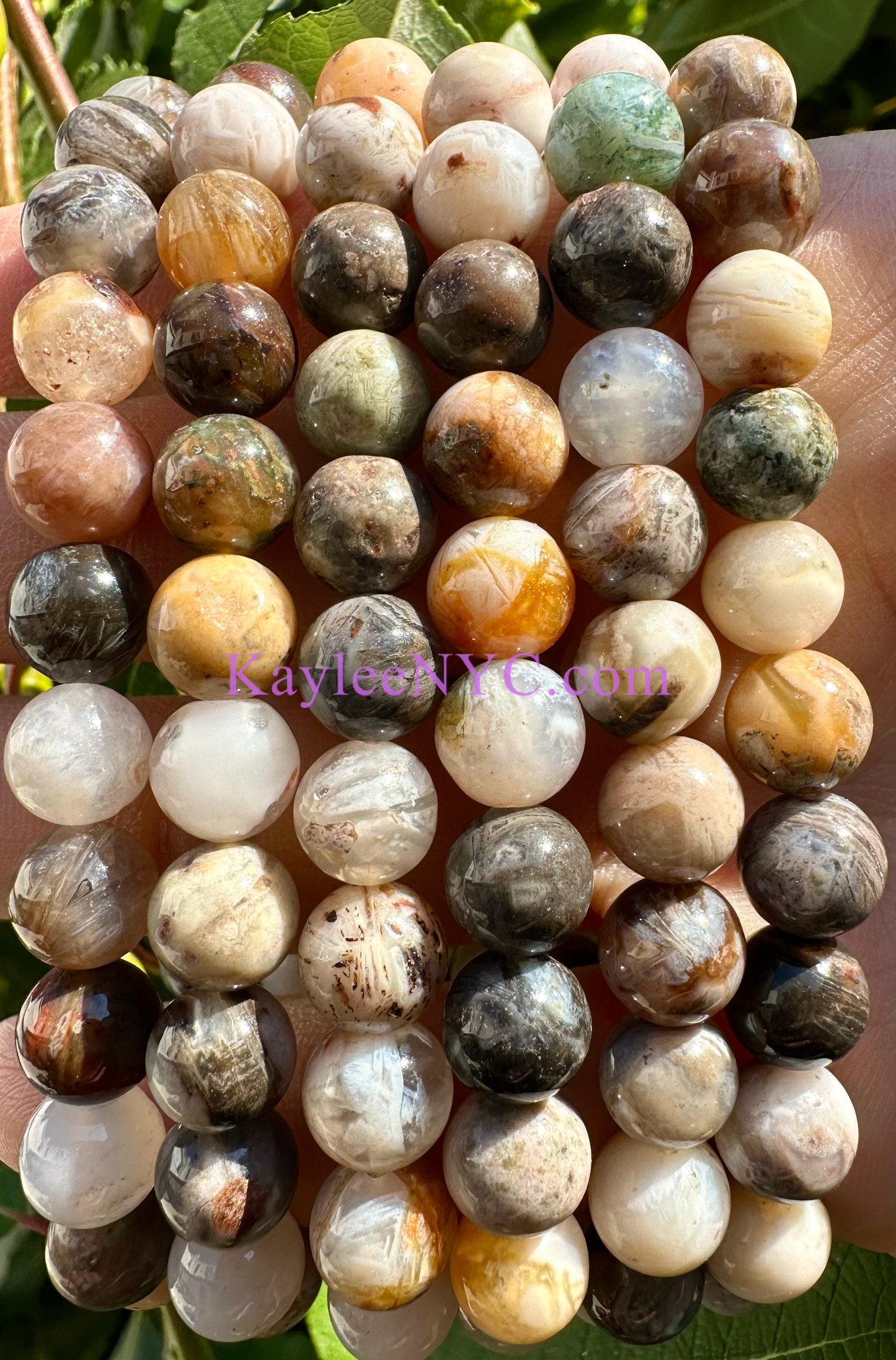 Wholesale 6 Pcs Natural Bamboo Agate 8mm 7.5” Crystal Healing Stretch Bracelet