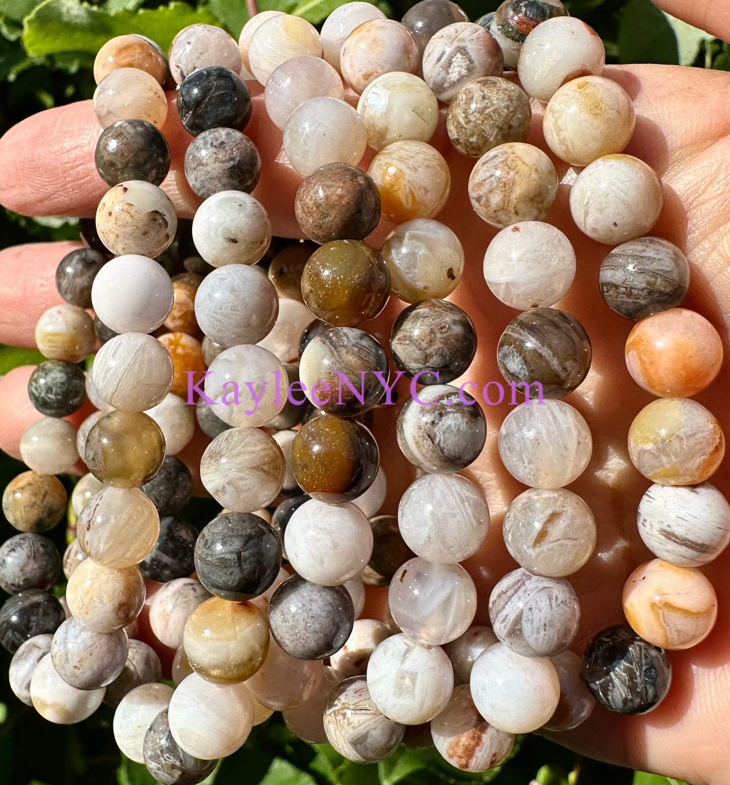 Wholesale 6 Pcs Natural Bamboo Agate 8mm 7.5” Crystal Healing Stretch Bracelet