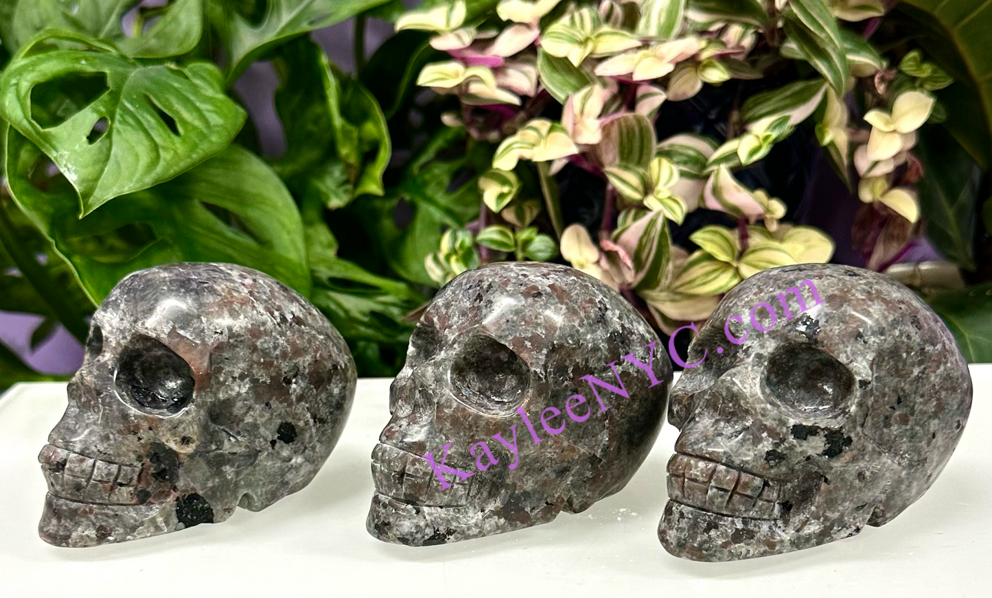 Wholesale lot 3 Pcs Natural Emberlite aka Yooperlite Crystal Skull