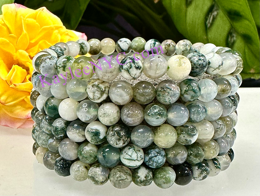 Wholesale 6 Pcs Natural Tree Agate 6mm 7.5” Crystal Healing Stretch Bracelet