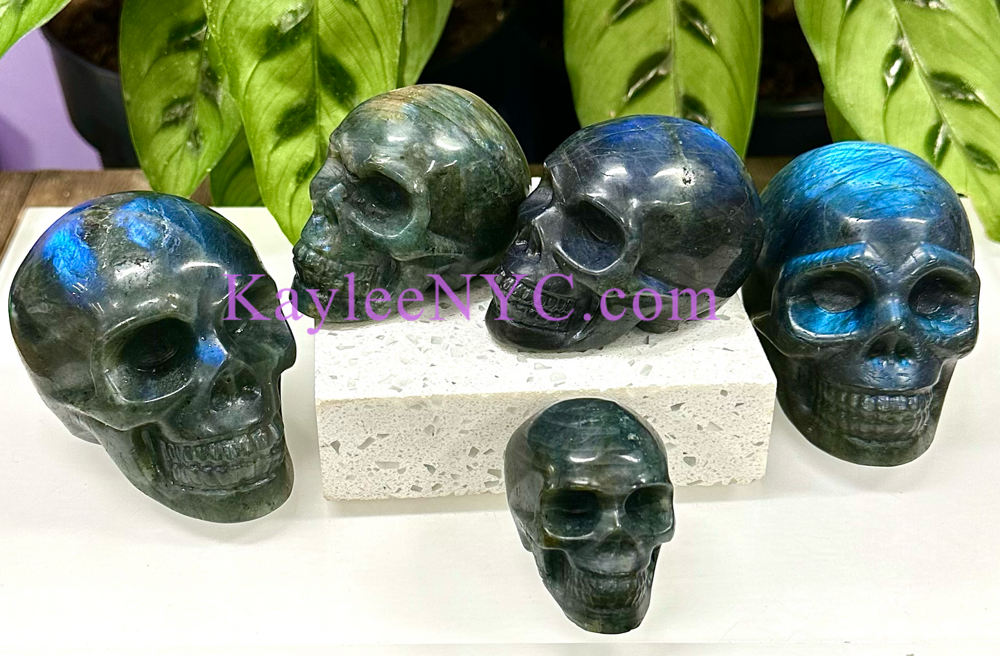 6 PCs Natural Labradorite Crystal Skull