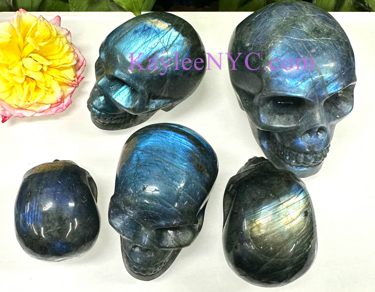 6 PCs Natural Labradorite Crystal Skull