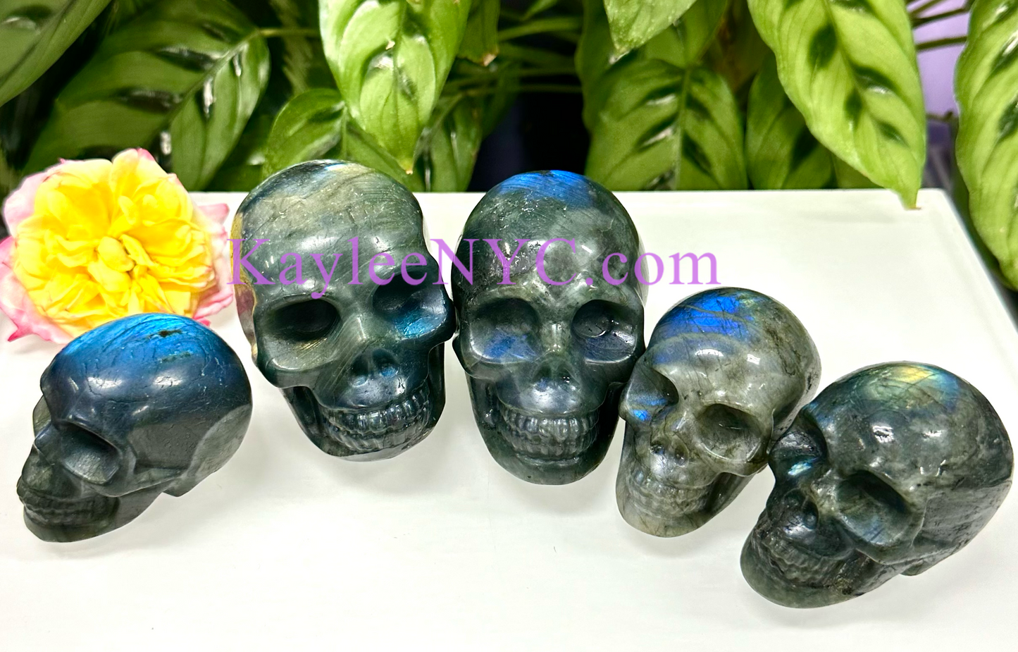 6 PCs Natural Labradorite Crystal Skull