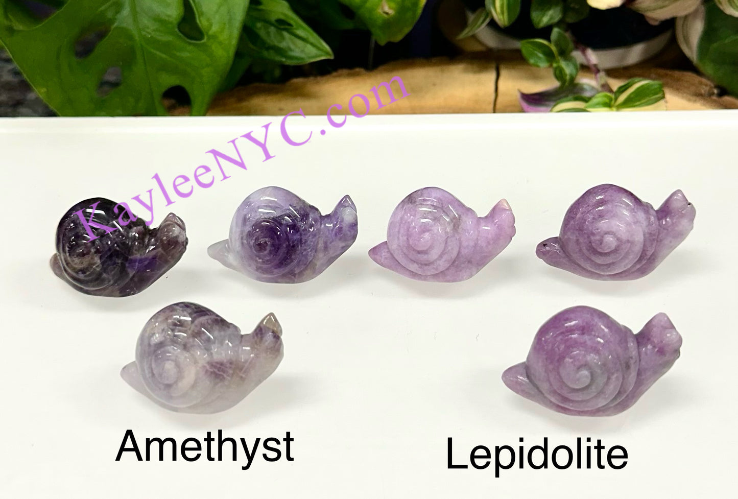 10 PCs 1.5” Natural Crystal Snail Carving