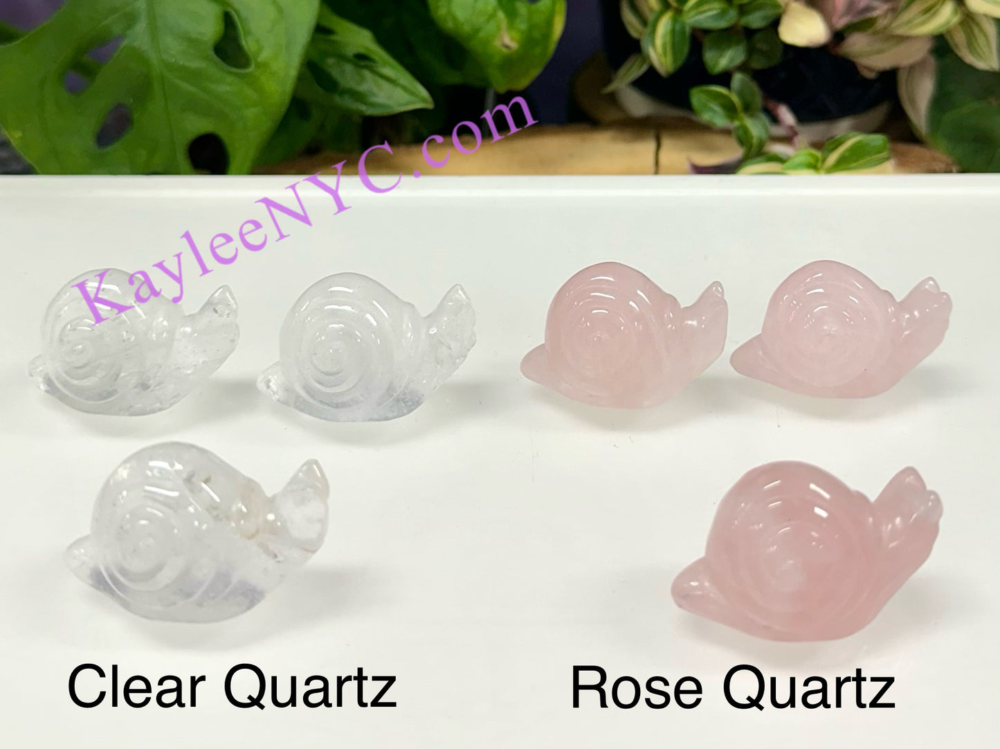 10 PCs 1.5” Natural Crystal Snail Carving