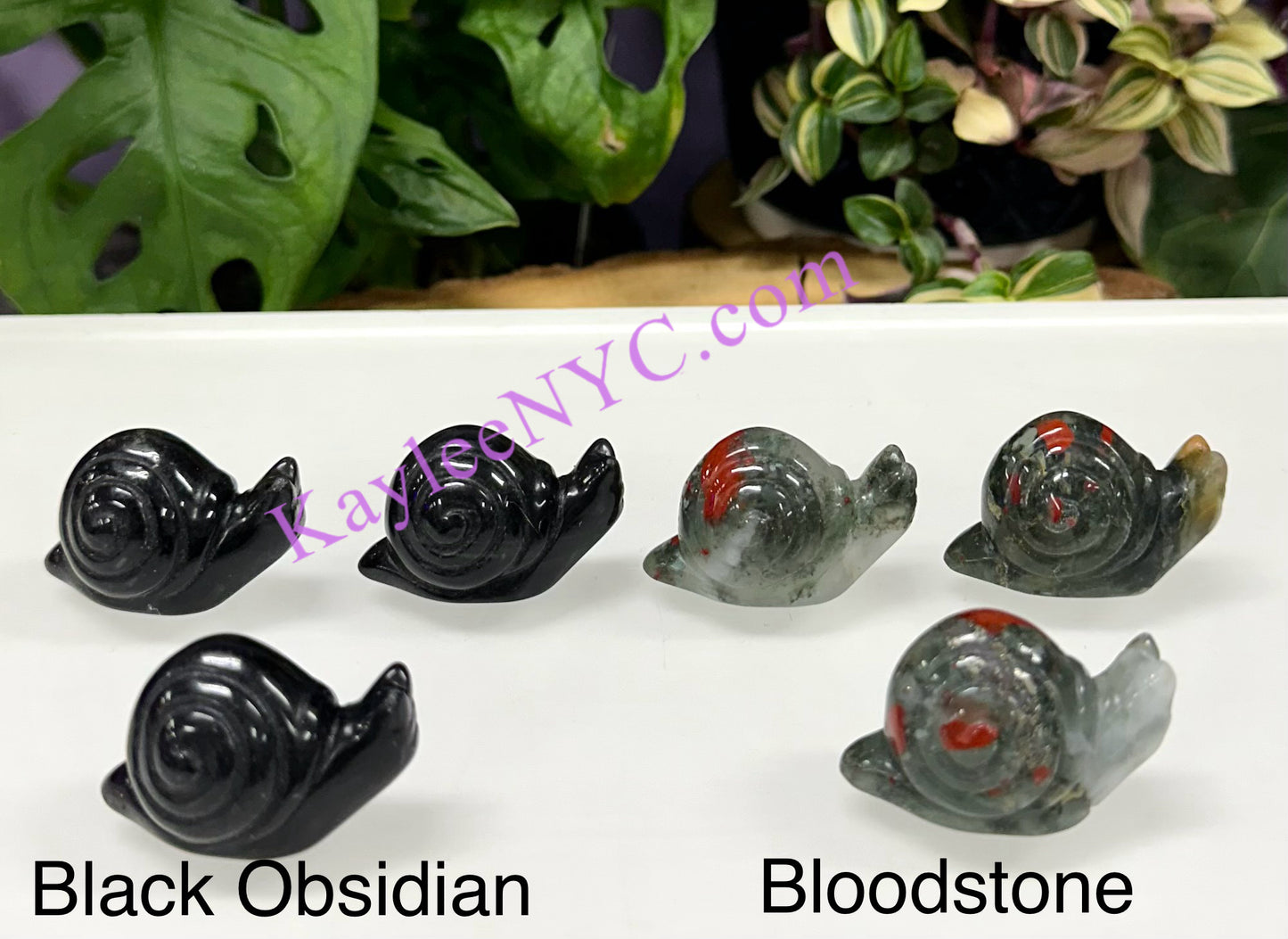 10 PCs 1.5” Natural Crystal Snail Carving