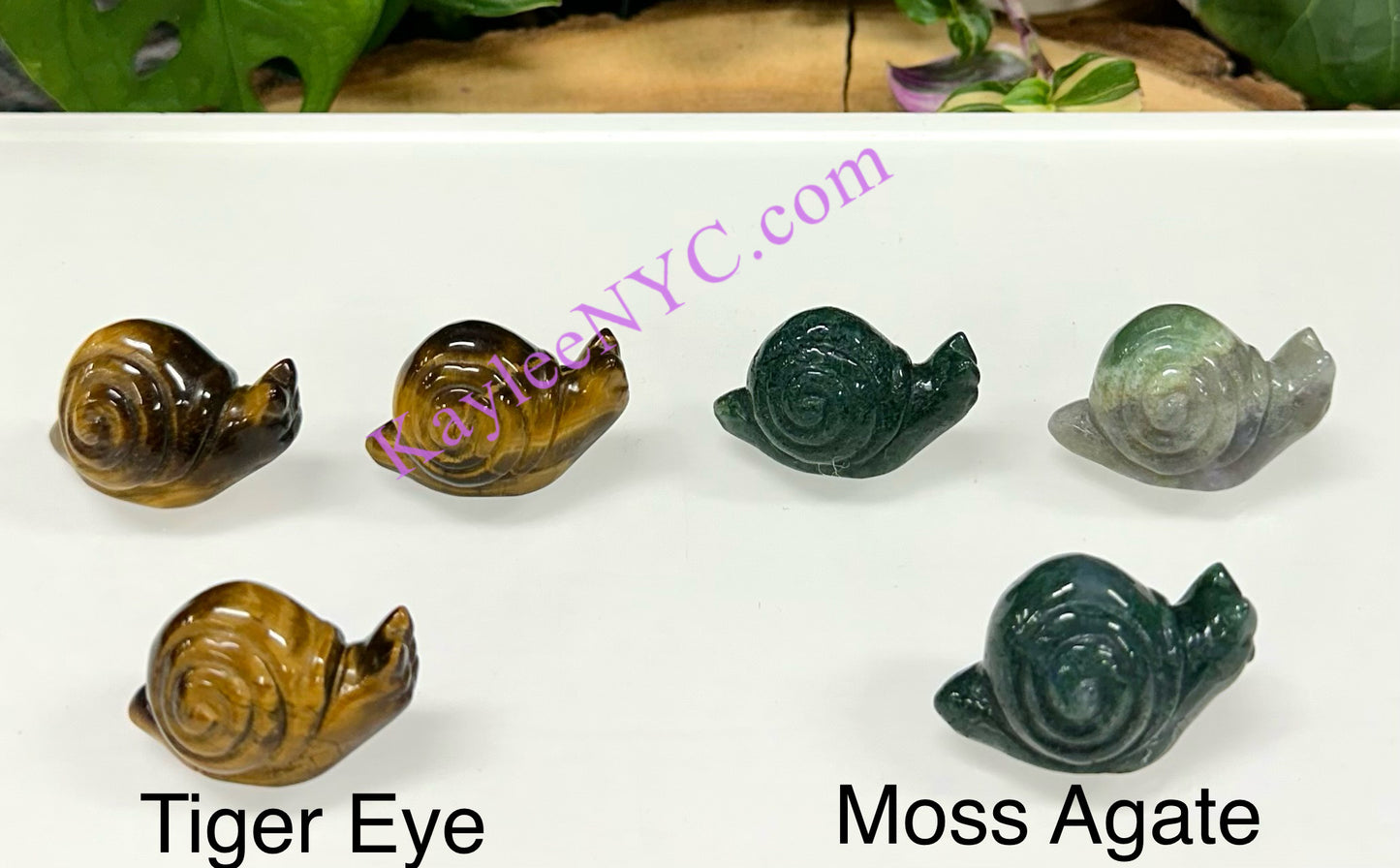 10 PCs 1.5” Natural Crystal Snail Carving