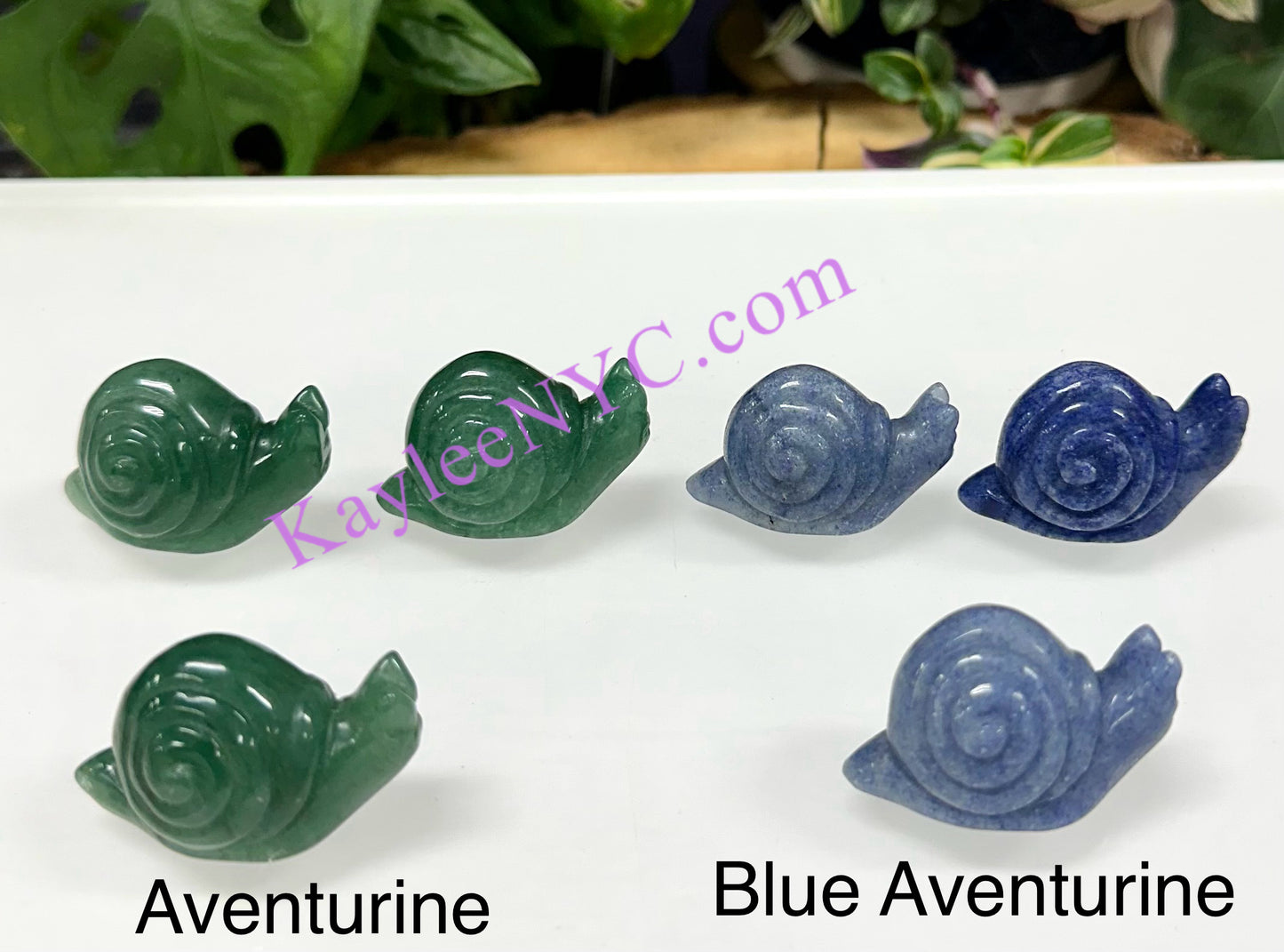 10 PCs 1.5” Natural Crystal Snail Carving