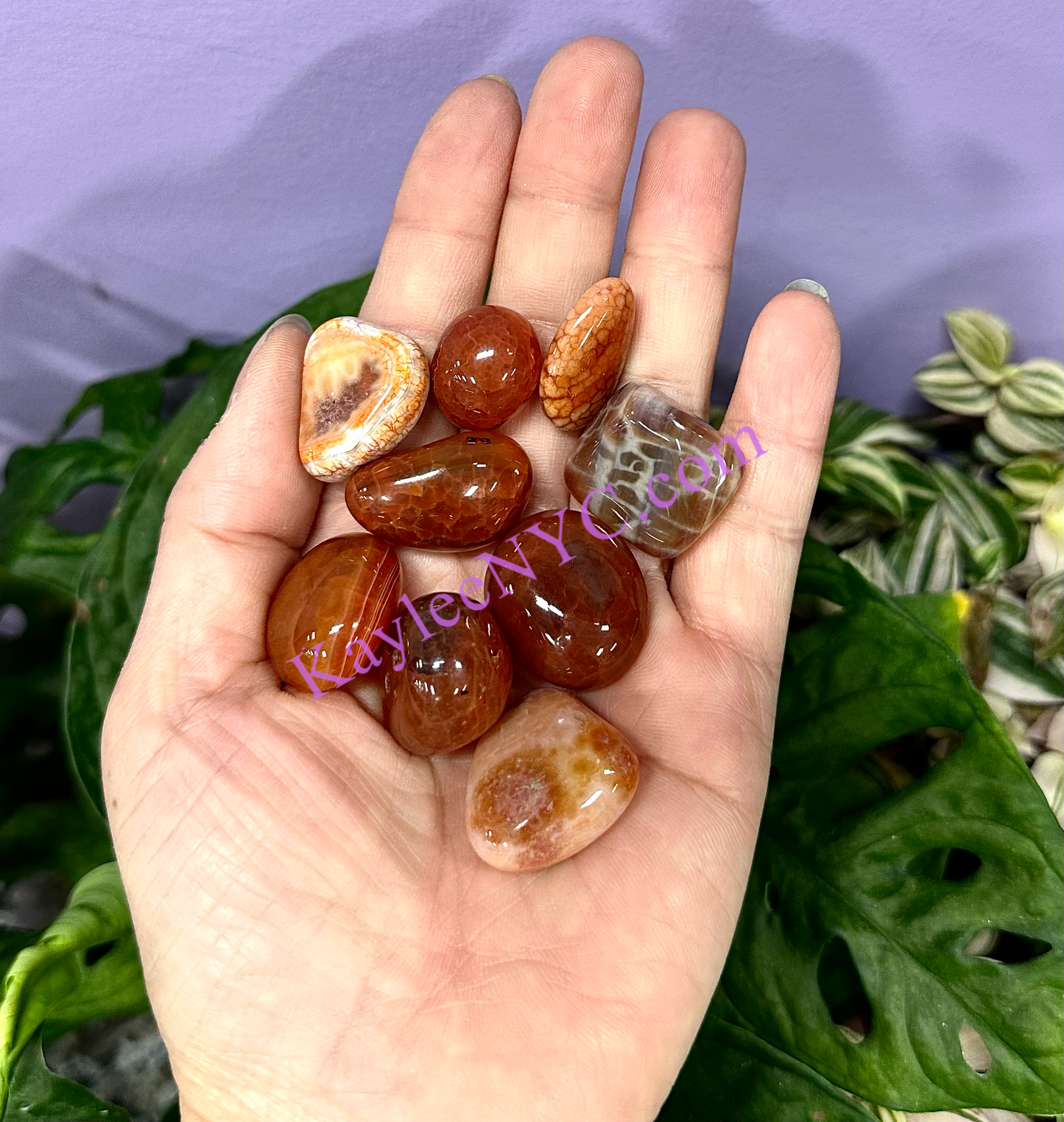 2 lbs Natural Carnelian Tumble