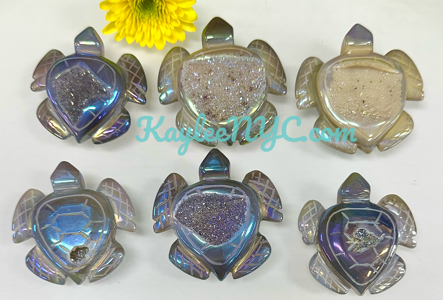 6 PCs Aura Druzy Agate Turtle Healing Energy