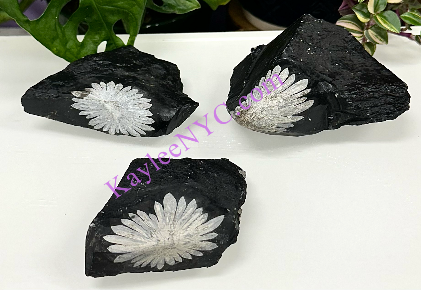 Wholesale Lot 3 PCs Natural Chrysanthemum Crystal